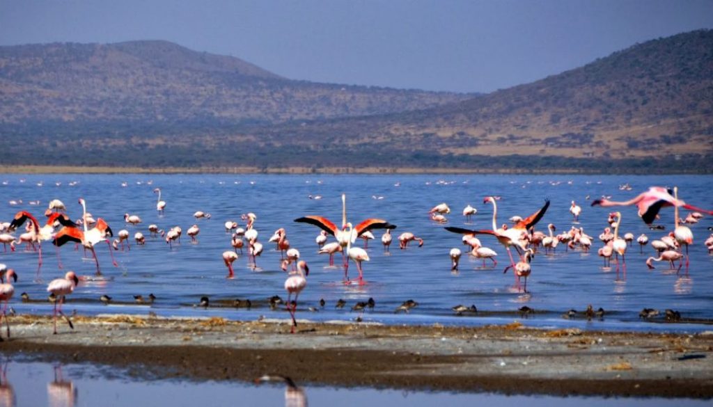 abijatta-shalla-national-park-ethiopia-adventure-tours.jpg