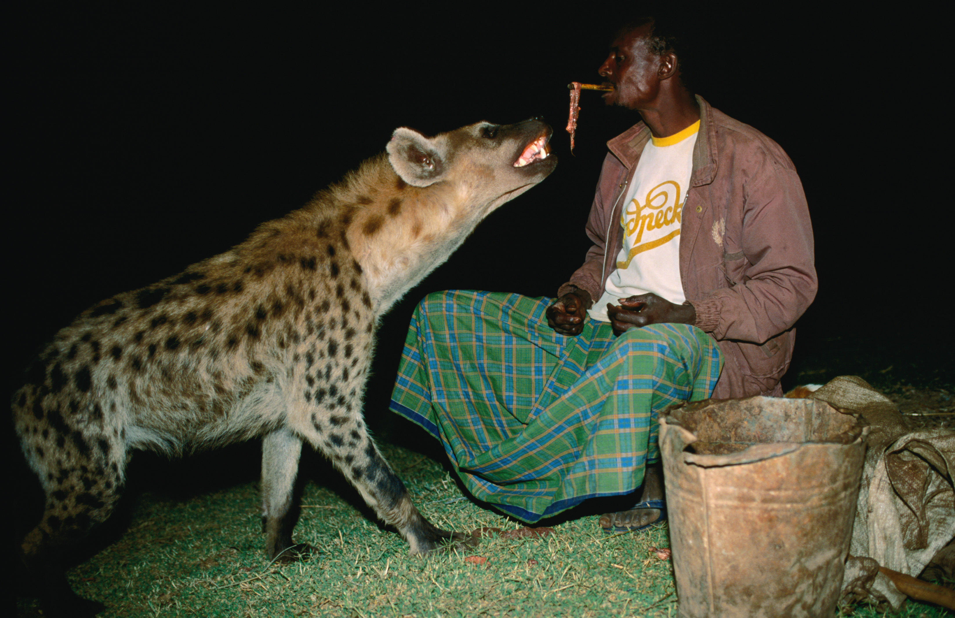 hyena-man-harar-ethiopia-adventure-tours.jpg